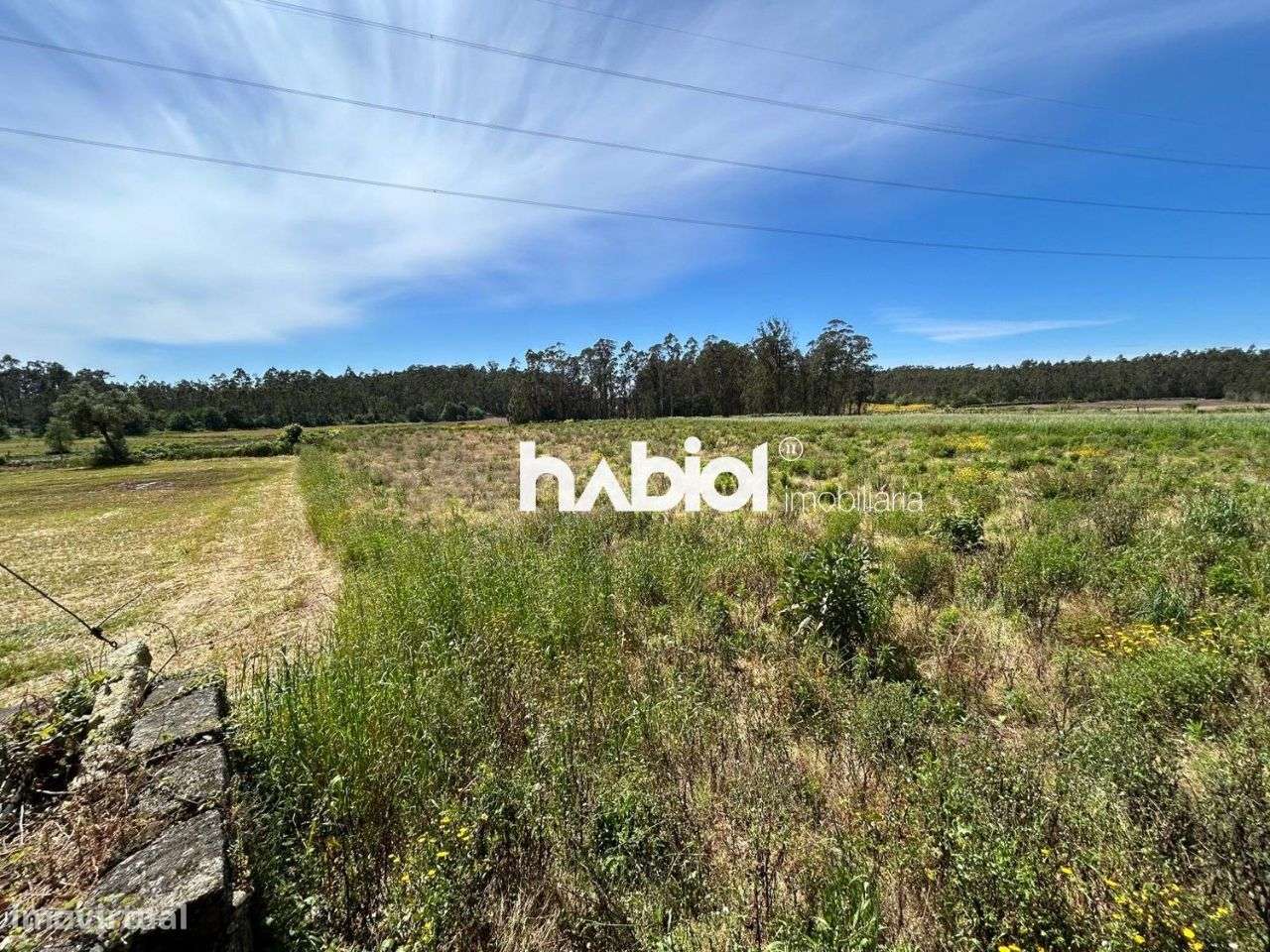 Terreno rural em Faria, Barcelos - Grande imagem: 5/6