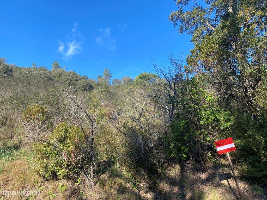 Lote de terreno rústico com 4.750m2, Loulé, Algarve - Grande imagem: 5/16