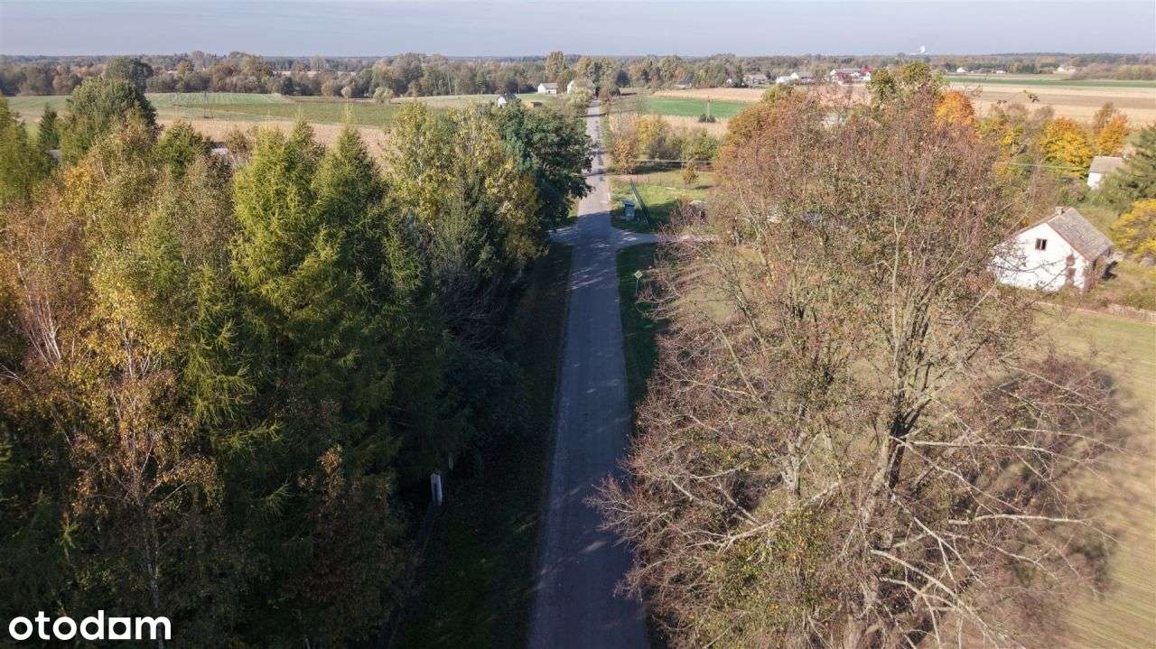 Duża zadrzewiona działka nieopodal Wkry.-5