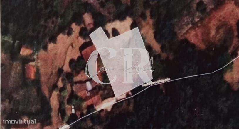 Cottage T3 com anexo para hóspedes, garagem e vistas em Alvaiázere-57