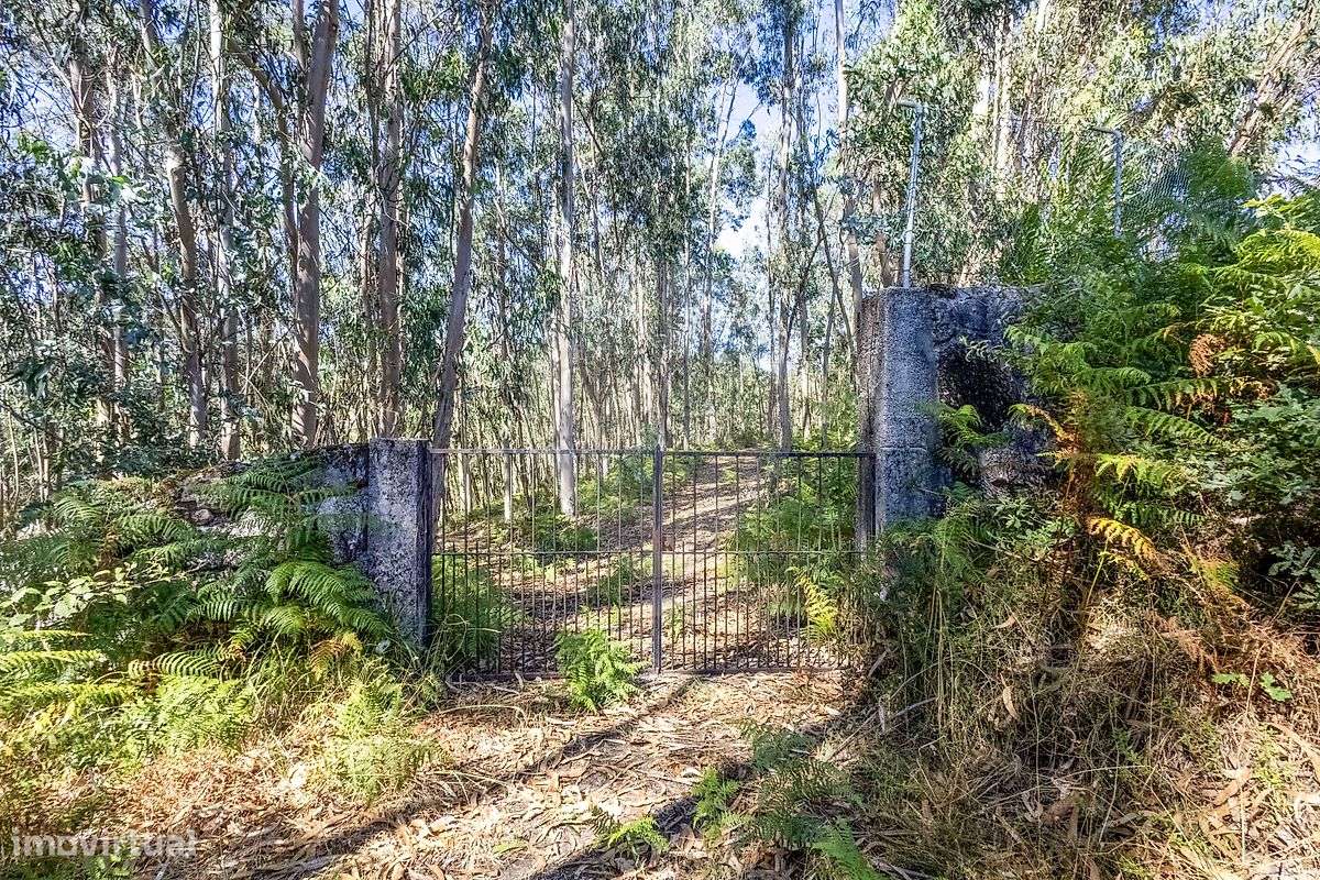 Terreno  para venda - Grande imagem: 3/25