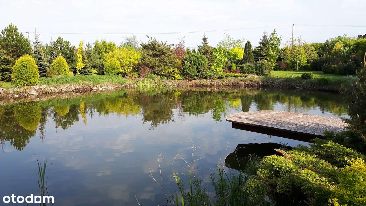 sprzedam śliczną działkę budowlaną w Łacku ze stawem - Pełny obrazek: 4/10