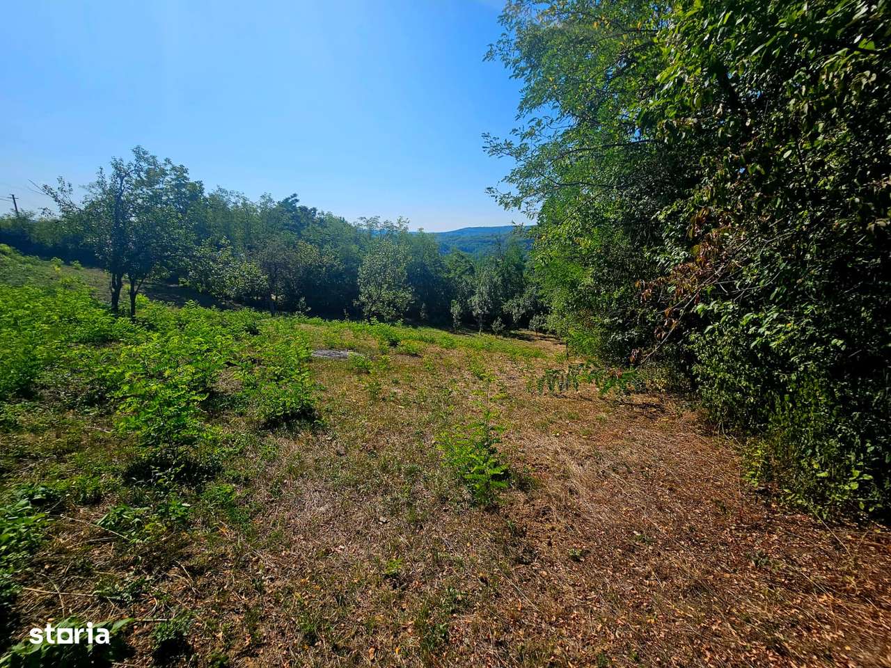 Teren intravilan 2322 mp, Păcuri – vedere superbă spre pădure! - Imagine principală: 5/13