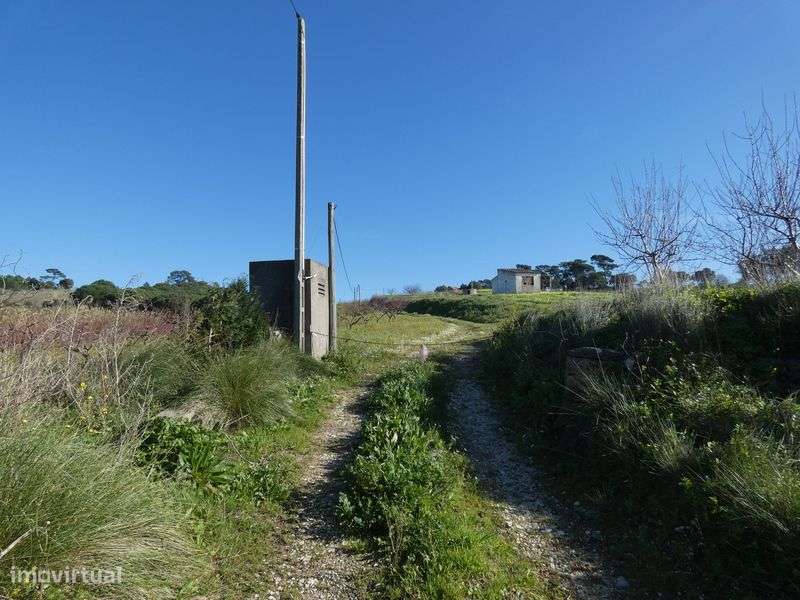 Terreno agrícola com 64562m2 com eletricidade e água! ótimos acessos! - Grande imagem: 4/43