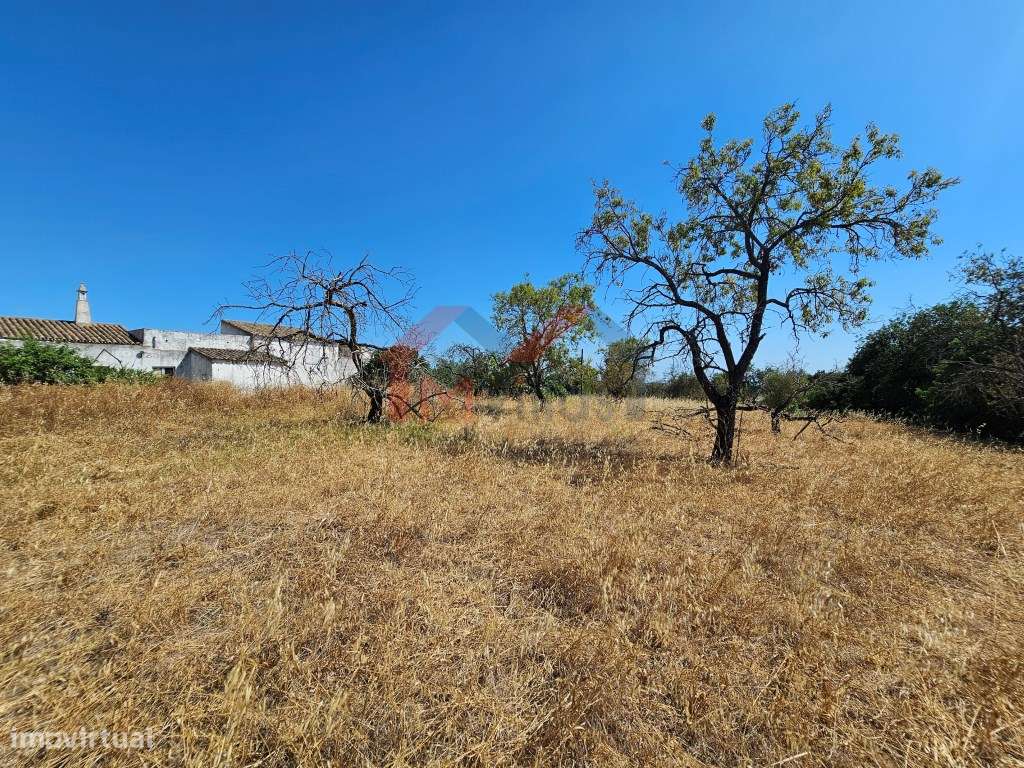 Moradia tradicional V5 para recuperar com terreno de 31.000 m2 - Loulé-11