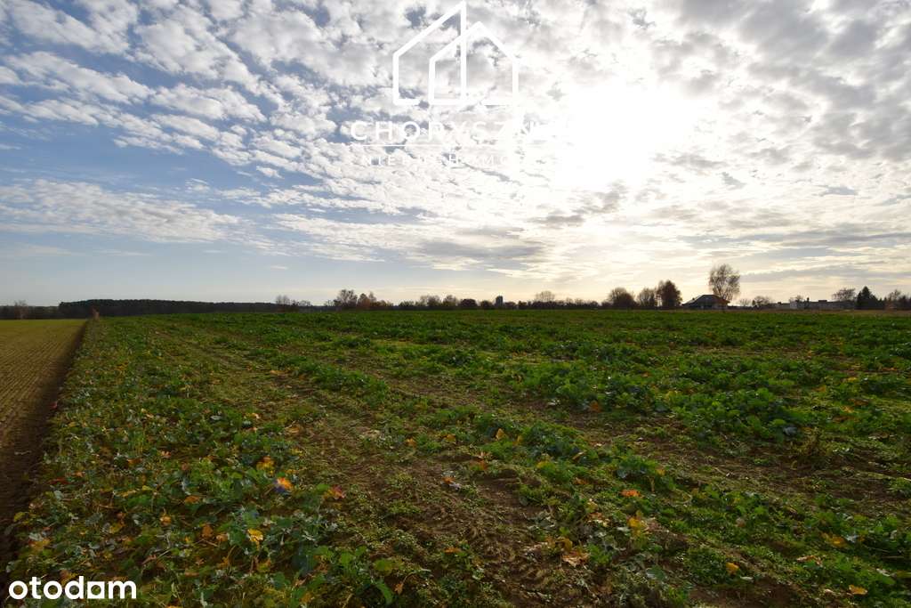 Namysłów - Stare Miasto - działka budowlana-7