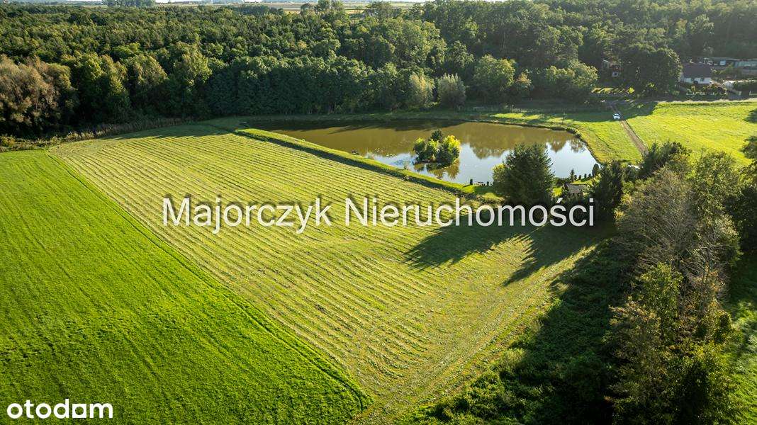 Działki budowlane 1,5 km od Boszkowa - Pełny obrazek: 5/16