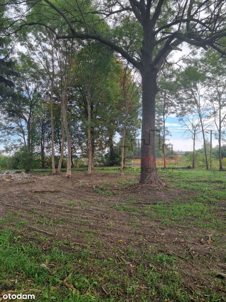 Działka z Warunkami zabudowy - do podziału - Pełny obrazek: 4/6