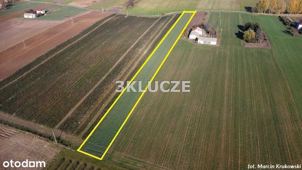 Działka Miłocin Kolonia, 5600 m2, z decyzją o Wz