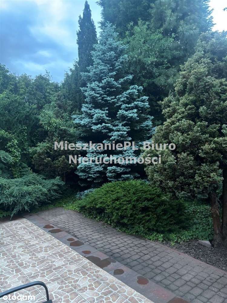 Atrakcyjny dom Sosnowiec Klimontów-12