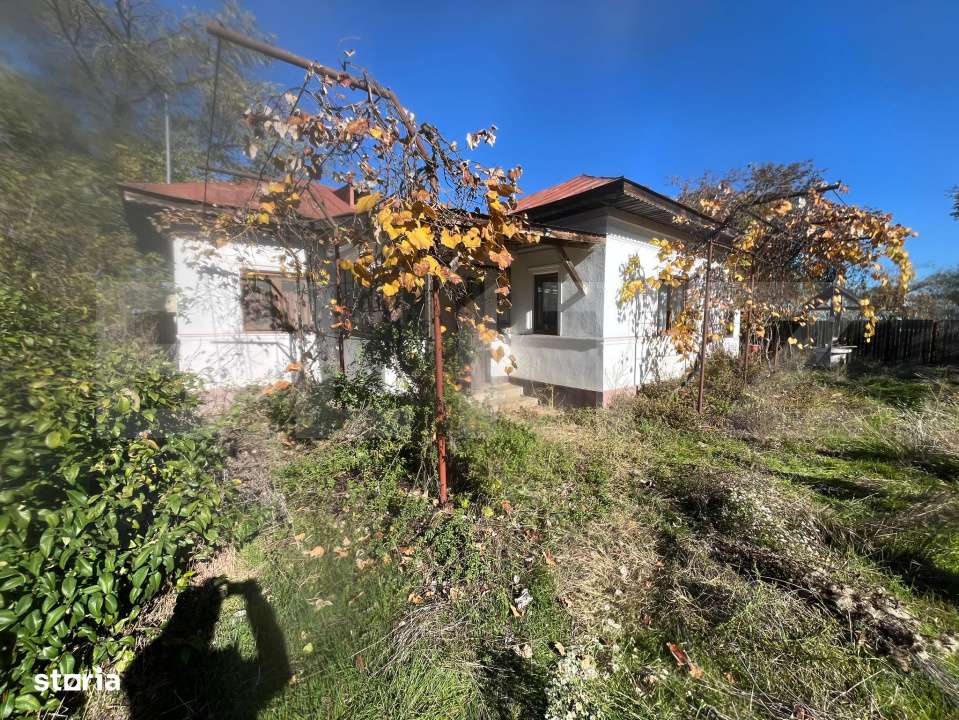 Casa traditionala cu teren 4.500 mp si anexe gospodaresti – zona lin - Imagine principală: 2/19