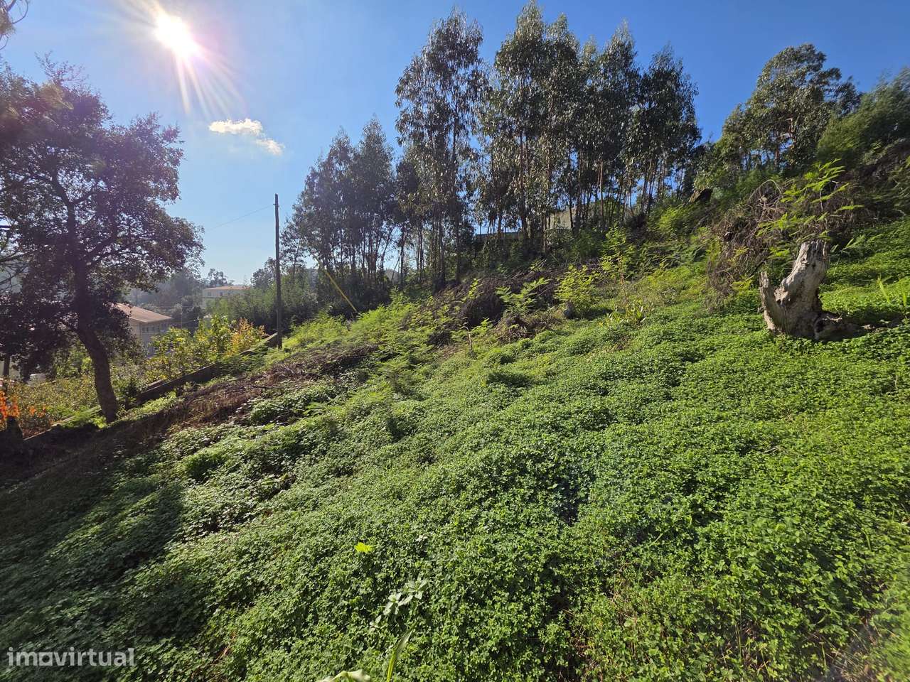 Terreno para Construção em Coimbra – 1.260m²-6