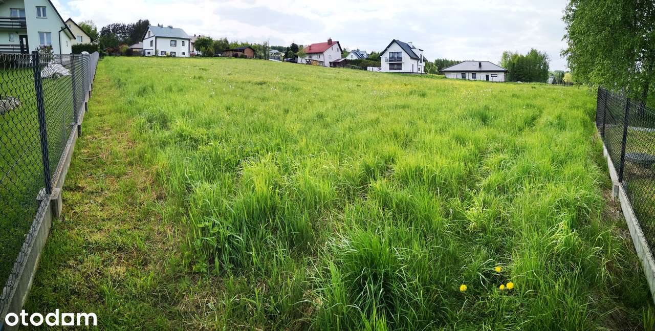 Działka, 5 000 m², Hyżne - Pełny obrazek: 5/8