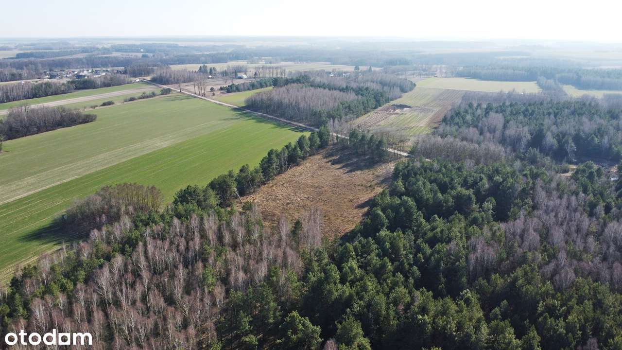 Grunty rolne o powierzchni 4,52 ha w Skrzeszewie na sprzedaż! - Pełny obrazek: 4/6