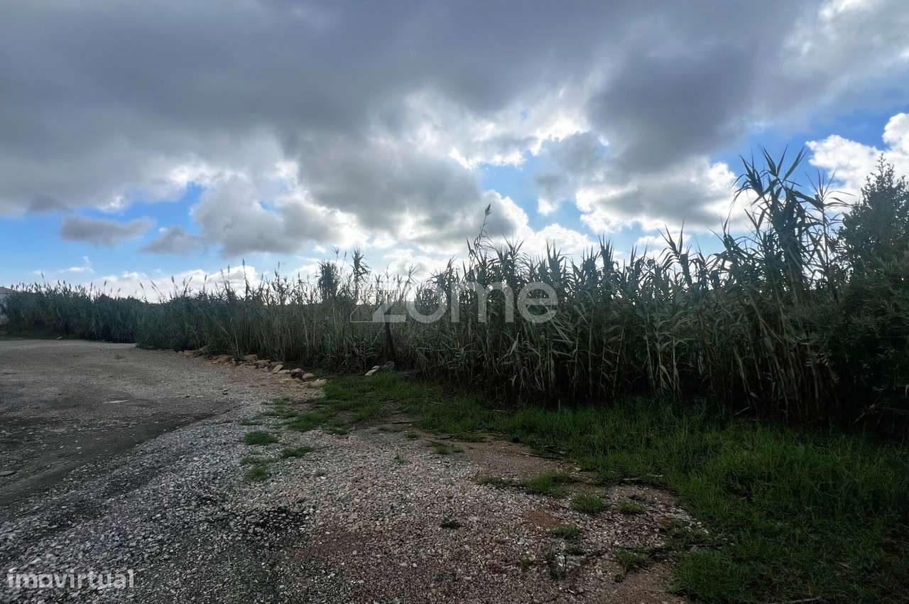 Venda de um lote em Cascais com aprovação de construção - Grande imagem: 5/17