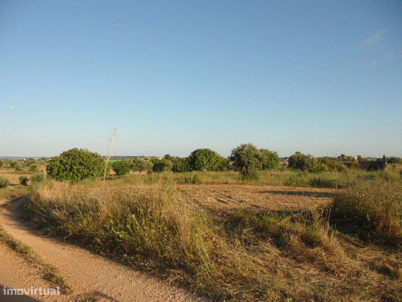 Ruína Inserida em Terreno com 8.320m2 com Poço - Grande imagem: 4/4