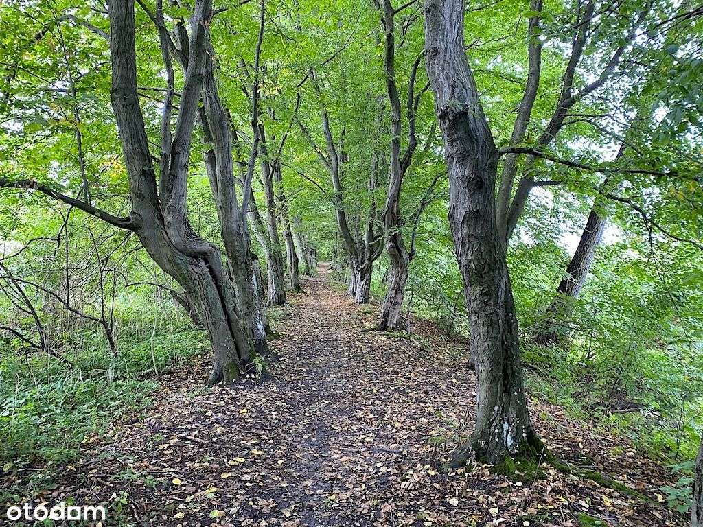 Działka w pięknej okolicy przyrody !!!-2