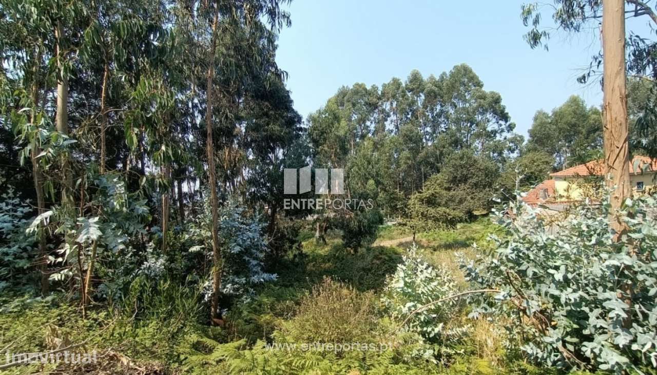 Venda de fantástico terreno para construção, Areosa, Viana do Caste - Grande imagem: 3/28