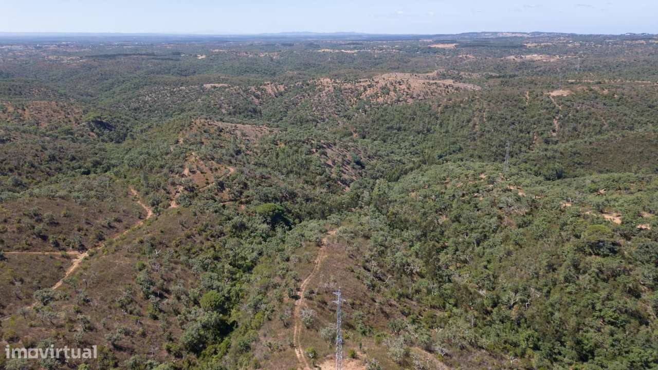 Quinta 10.0 ha, Santiago do Cacem - Grande imagem: 5/18