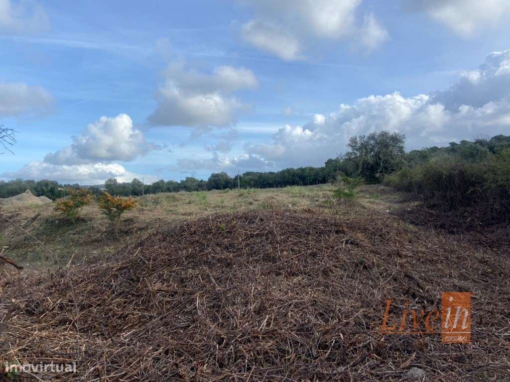 Terreno Rústico com 12,640m2 a 2 km do centro de Pêro Pinheiro. - Grande imagem: 4/7