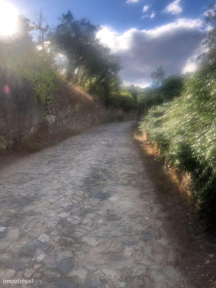 Casa de campo - 6 km do Rio Douro - Régua-11