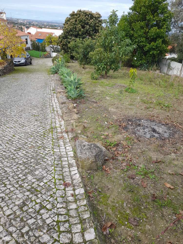 Azeitão/ Parque Natural Arrábida Quinta 7250 m2 com Moradia-34