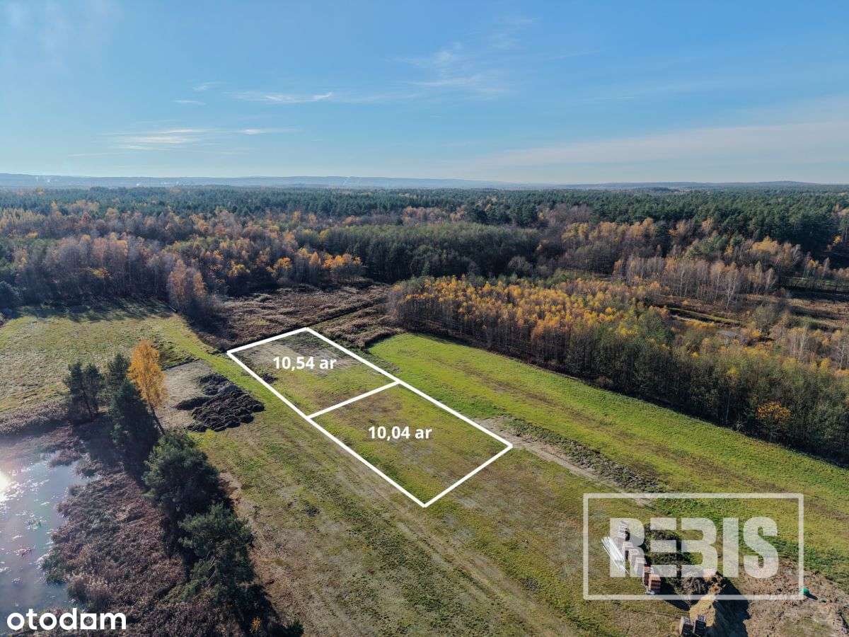 Działka Zdżary z WZ (10,5a) + 73a pod staw-4