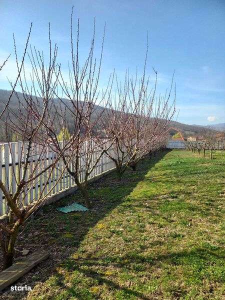 Teren in com Metes sat Ampoita - Imagine principală: 4/4