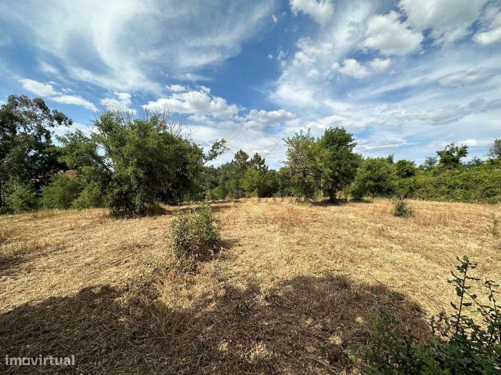 Terreno rustico com 11000m2 Não é permitida construção - Grande imagem: 3/23