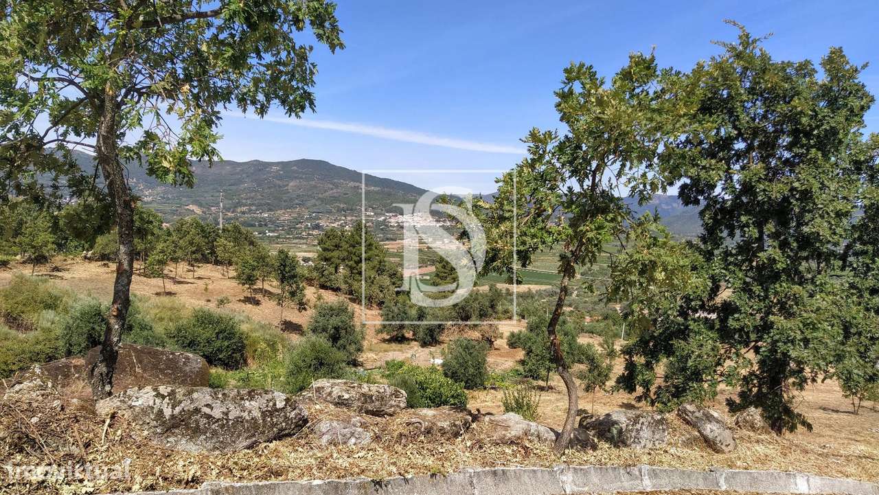 Terreno  Venda em Belmonte e Colmeal da Torre,Belmonte-5