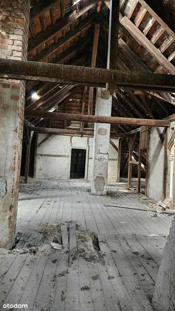 budynek po szkole 672m2 na działce 6700m2, Udanin,-11