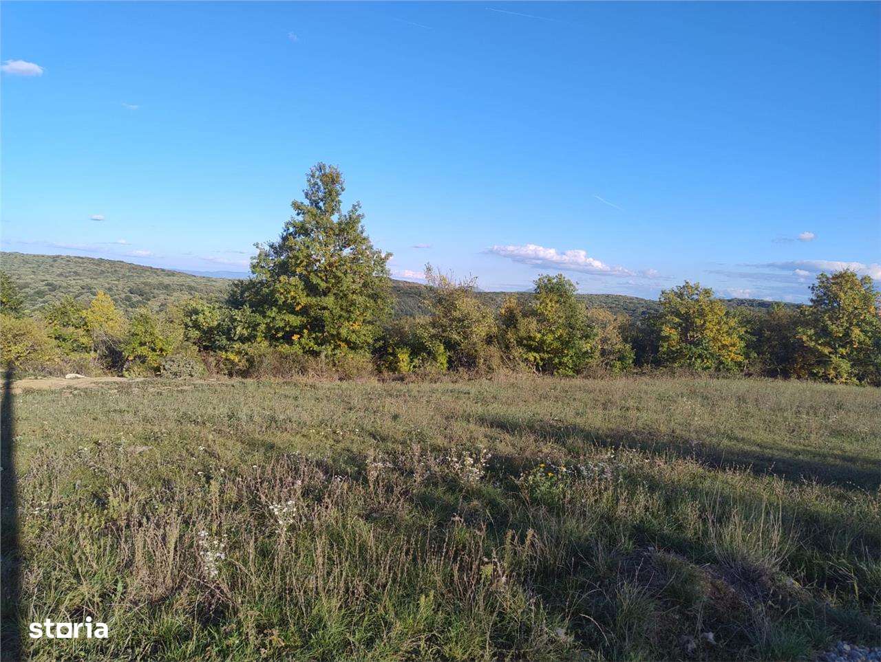 PECO Teren intravilan Saldabagiu De Munte - Imagine principală: 4/5