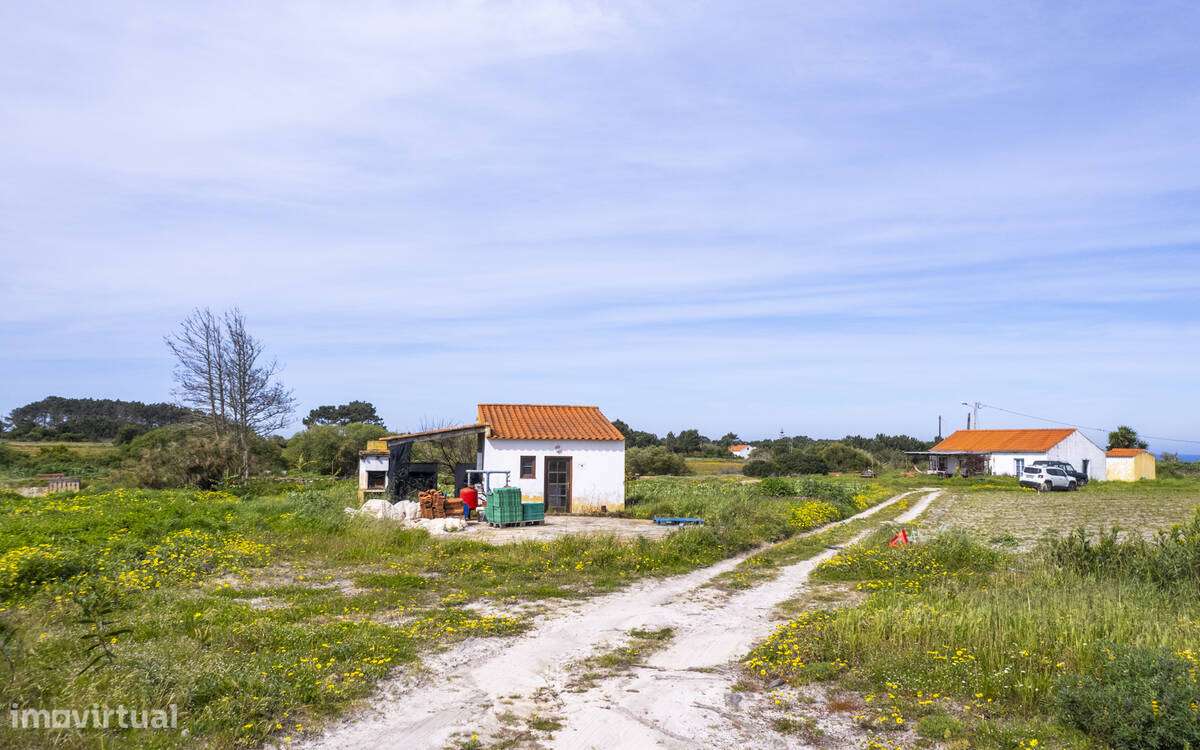 QUINTA AGRÍCOLA ENCOSTADA AO ATLÂNTICO - Grande imagem: 5/13