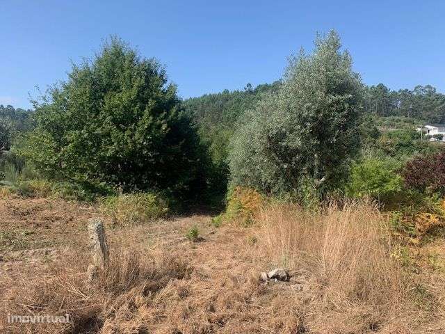 Quinta do Barreiro com 2 Casas para Recuperar-11