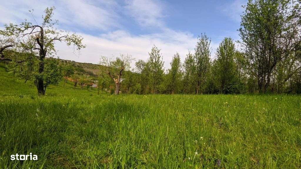 Teren intravilan 3000mp, posibilitate constructie casa in dividuala si - Imagine principală: 2/3