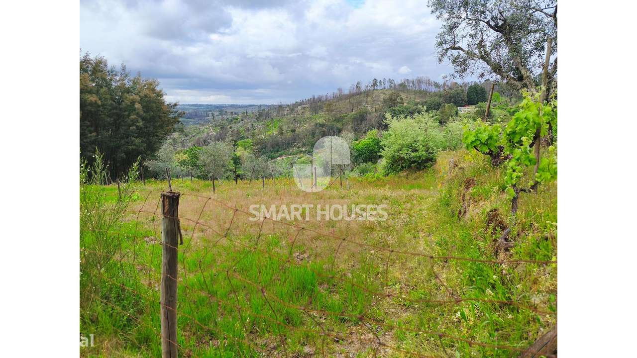 Quintinha em Vila do Mato-13