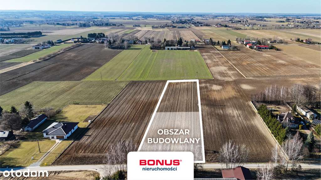 Duża działka z WZ Palikije Pierwsze Motycz - Pełny obrazek: 4/9