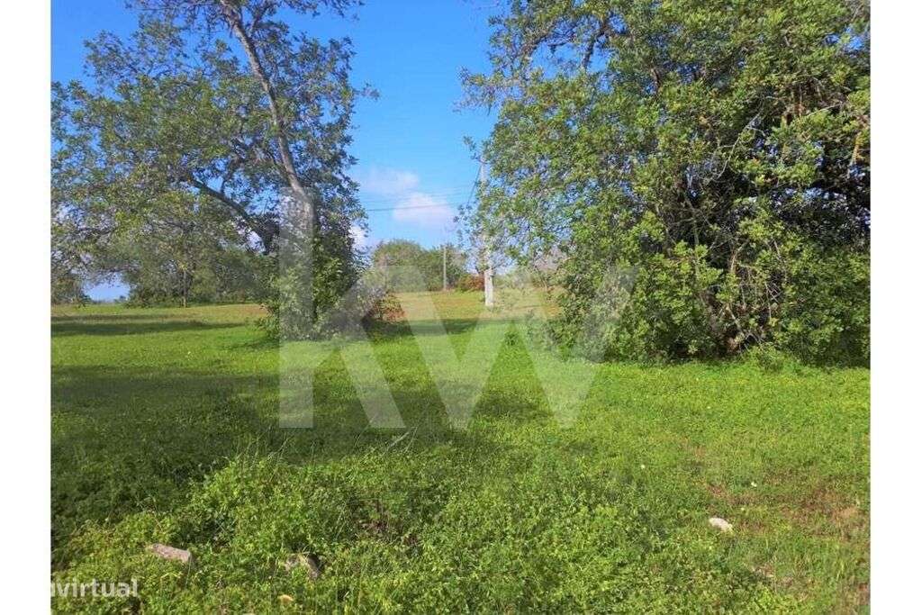 Terreno Rústico com 20.050m2 sito em Alpouvar, Albufeira. - Grande imagem: 4/9