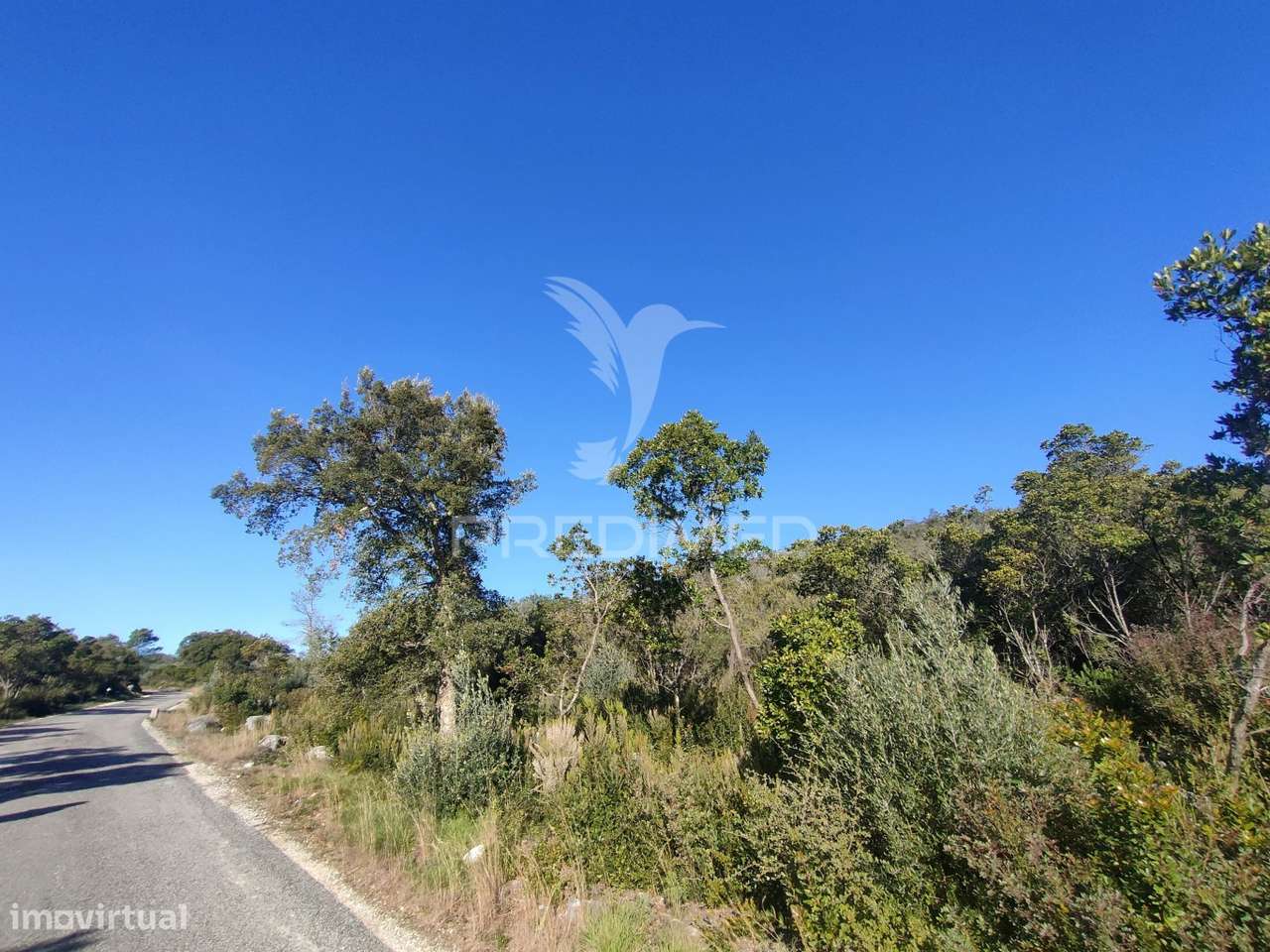 Terreno Rústico - Alcanena - Grande imagem: 4/14