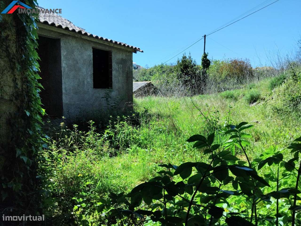 Casas para restauro no Concelho de Penacova - Coimbra-19