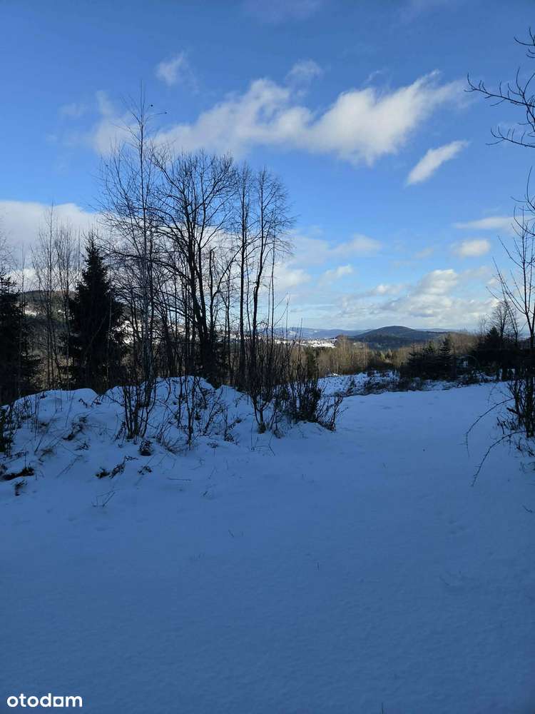 Działka (1,1ha) budowlana  z widokiem na góry z Zawoi,prąd,woda,droga-8