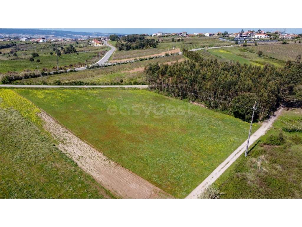 Terreno com 17.400 m² em Óbidos localização estratégica entre natur... - Grande imagem: 4/12