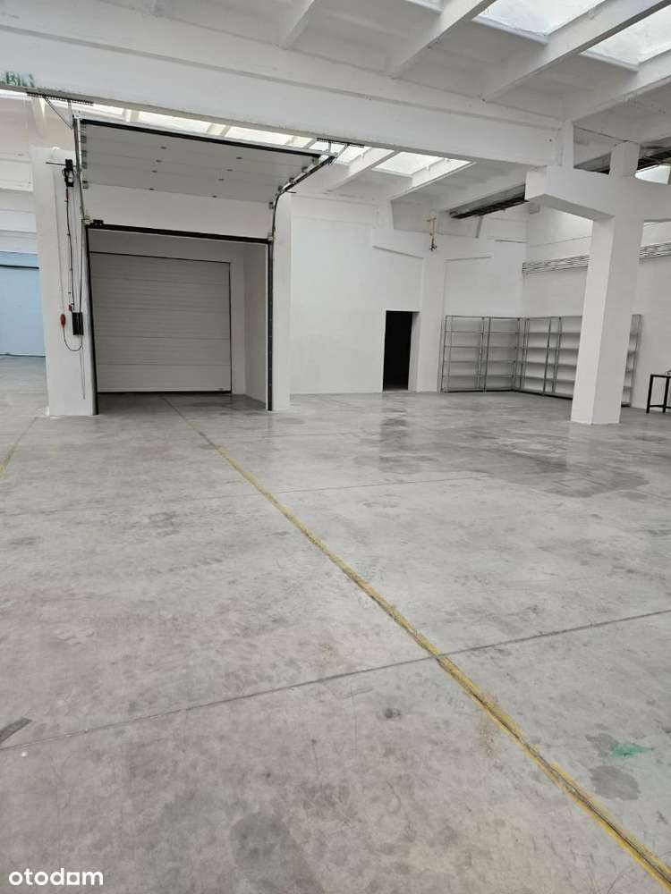 Hala do wynajęcia – produkcja / magazyn – od 1000 do 5500 m² – Gniezno - Pełny obrazek: 4/13
