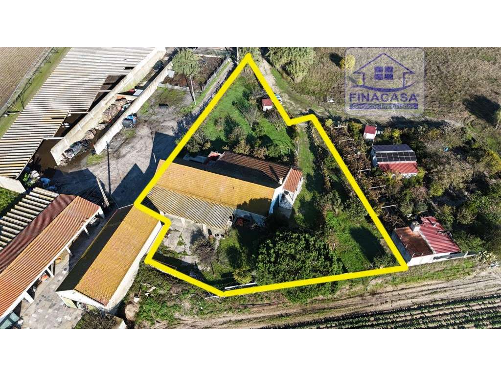EXCLUSIVO - Quinta com 2069 m2, T1 e um armazém - Asseiceira(Palmela)-54