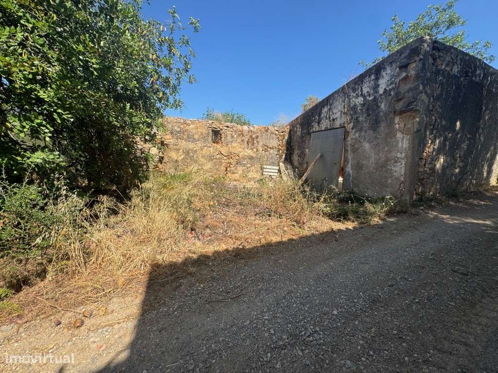 Terreno com 24.080 m², Ruínas e Moradia T2 em Madeira - Moncarapacho-12