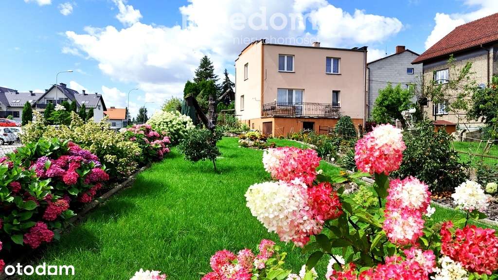 Dom wolnostojący w atrakcyjnej okolicy - Pełny obrazek: 1/19