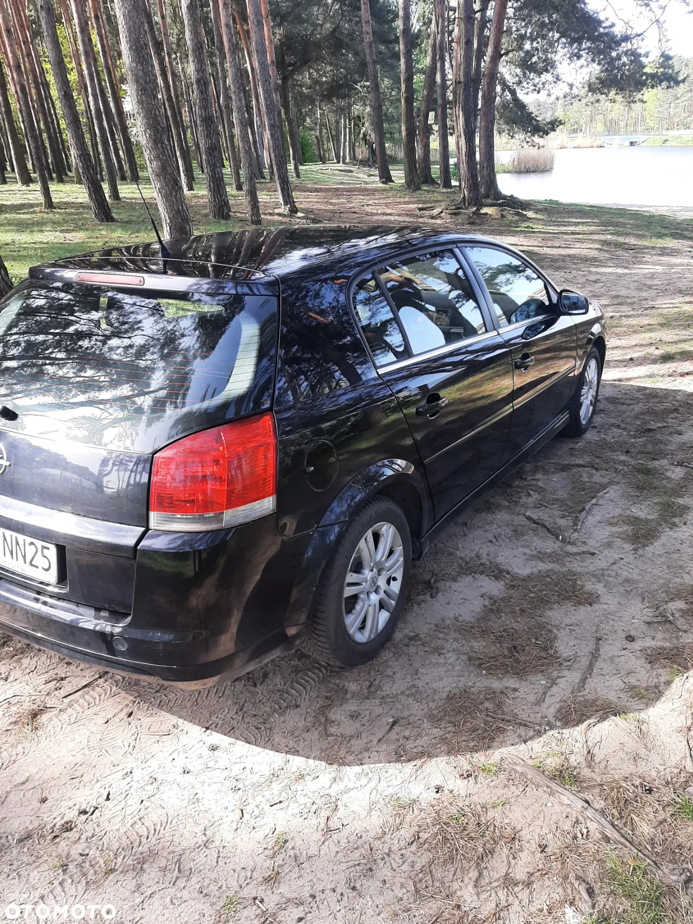 Opel Signum - 5