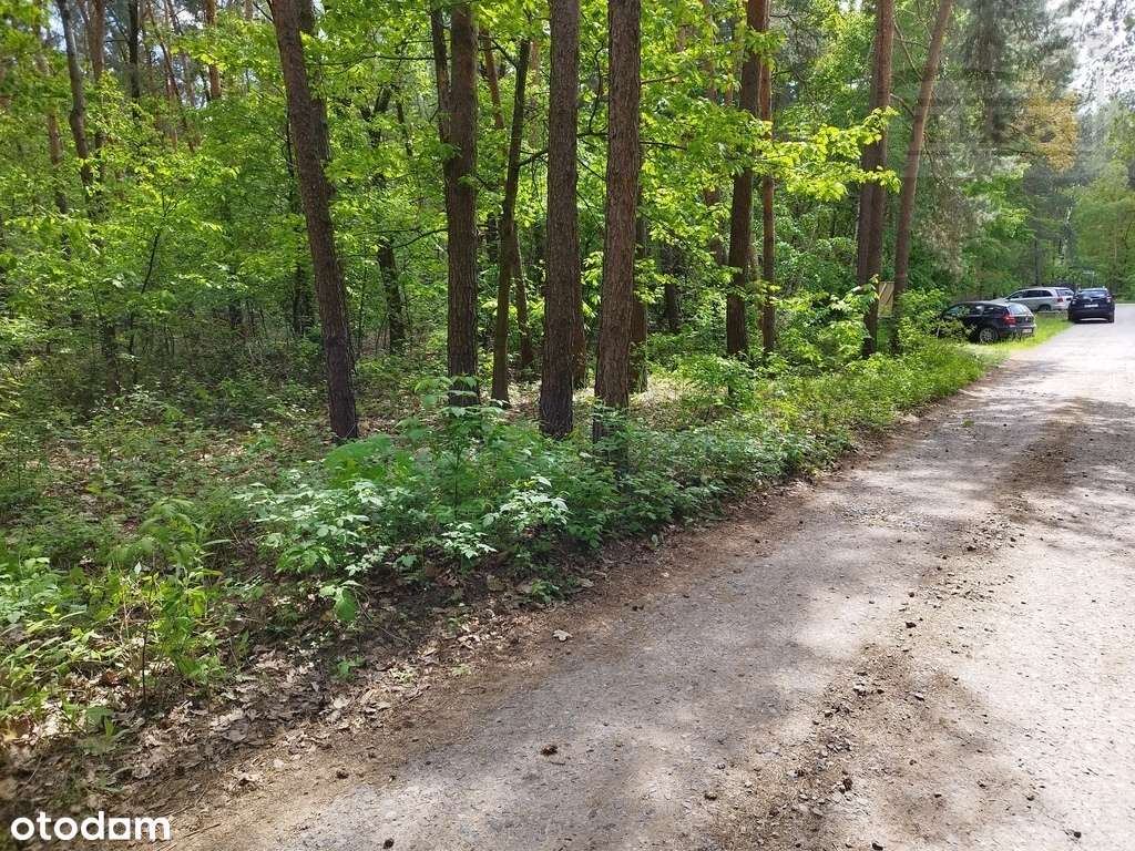 Atrakcyjna działka Sękocin Las 2100m2 - Pełny obrazek: 4/6