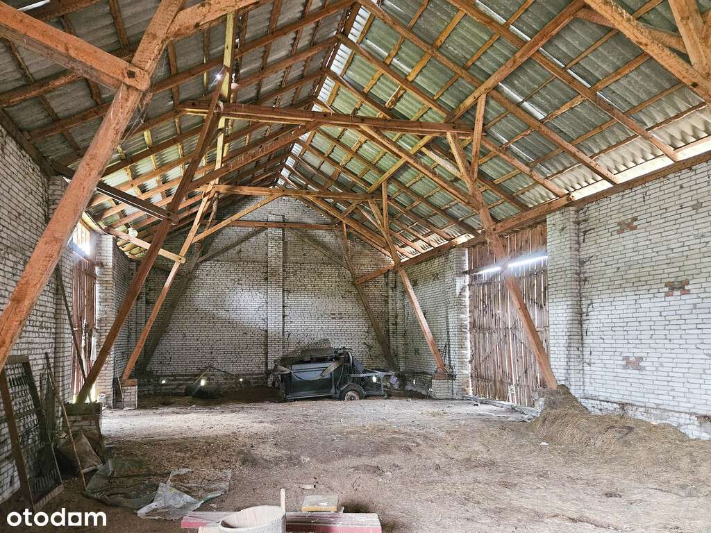 Malownicze Siedlisko, rzeka, las, Zalew Nielisz-14