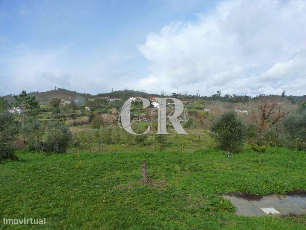 Cottage T3 com anexo para hóspedes, garagem e vistas em Alvaiázere-55